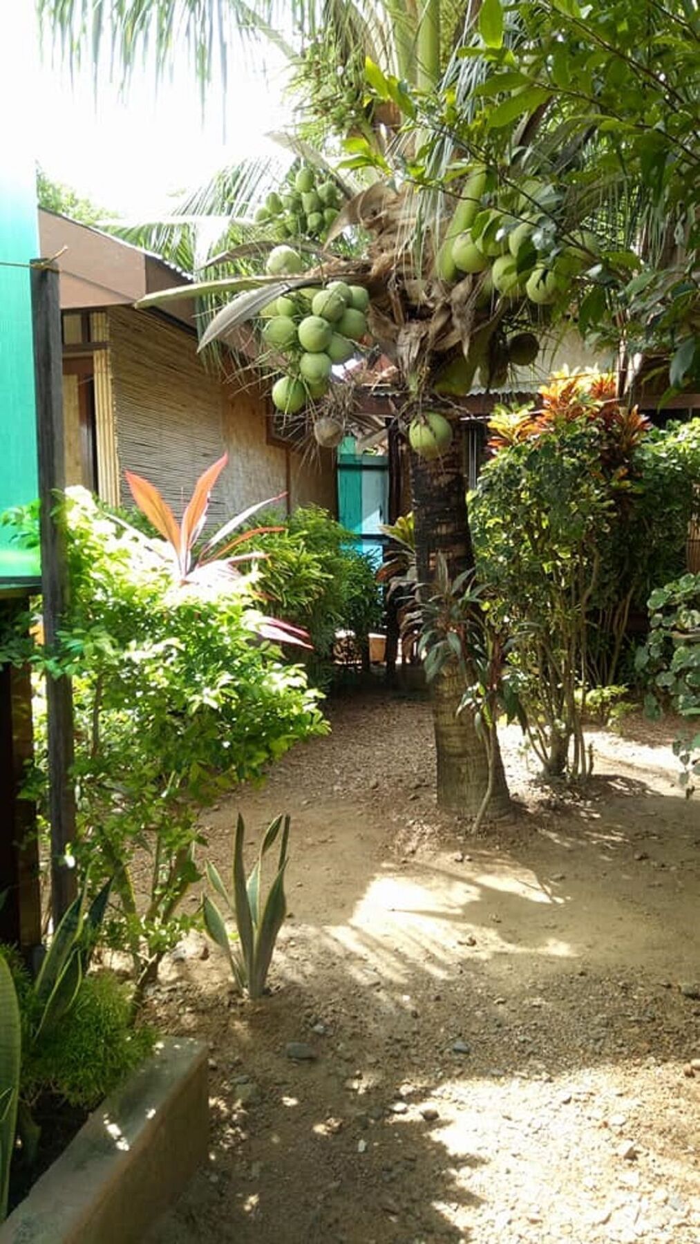 Devayn'S Inn El Nido Exterior foto